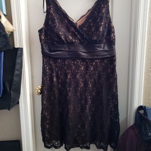 Black and Beige Lace Surplice Dress